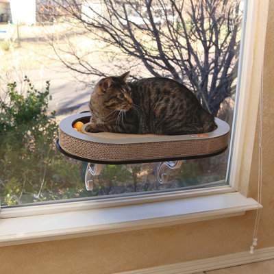 Seuil Batchelor Universal Mount Kitty