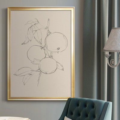 " Fruit Contour Study I "