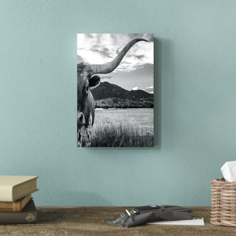 «Black and White Longhorn Cow» - Photographie sur toile tendue, H 12 po x l 8 po, Toile avec cadre doré, Non