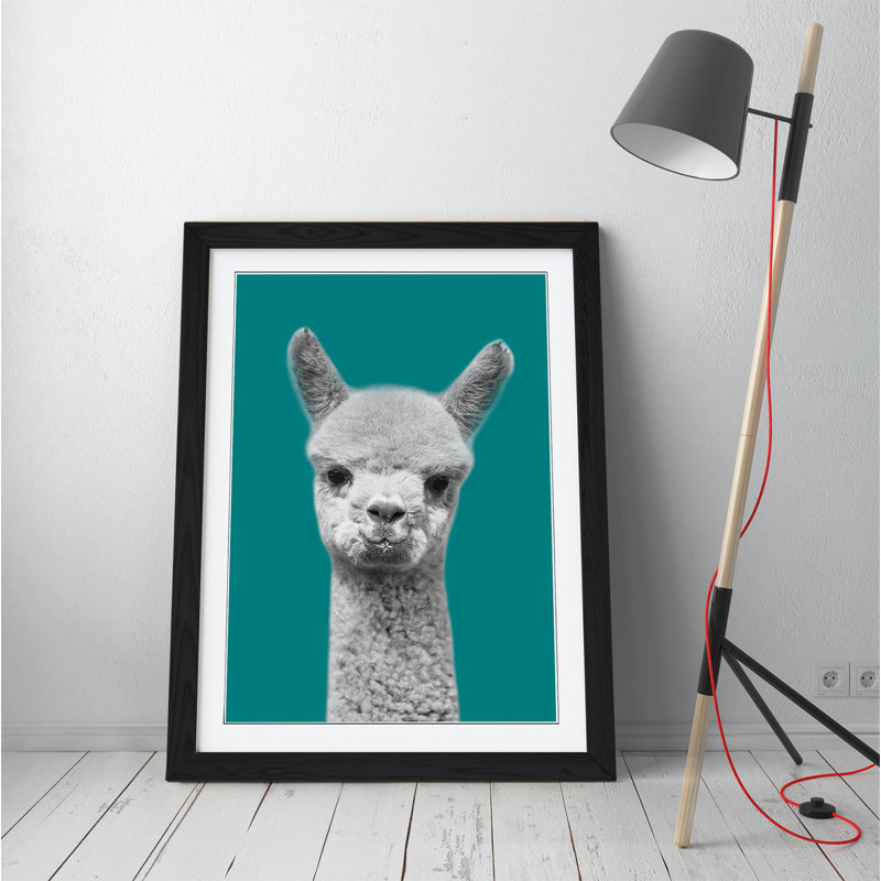 Happy Baby Alpaca Black And White - Single Picture Frame Print on Canvas