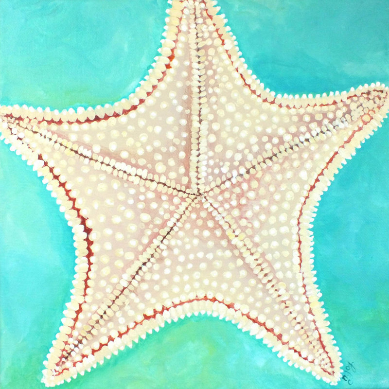 «Starfish Dots», reproduction sur toile tendue, H 18 po x l 18 po