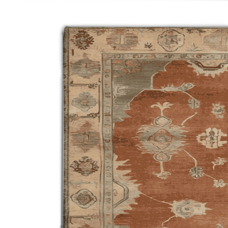Tapis intérieur et extérieur brun Overdyed, Rectangulaire 2 pi x 3 pi