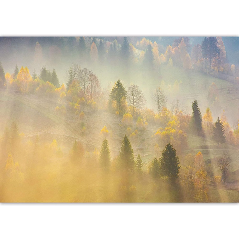 Murale soleil brumeux forêt, L 100 po x l 144 po