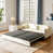 Velours beige est en rupture de stock