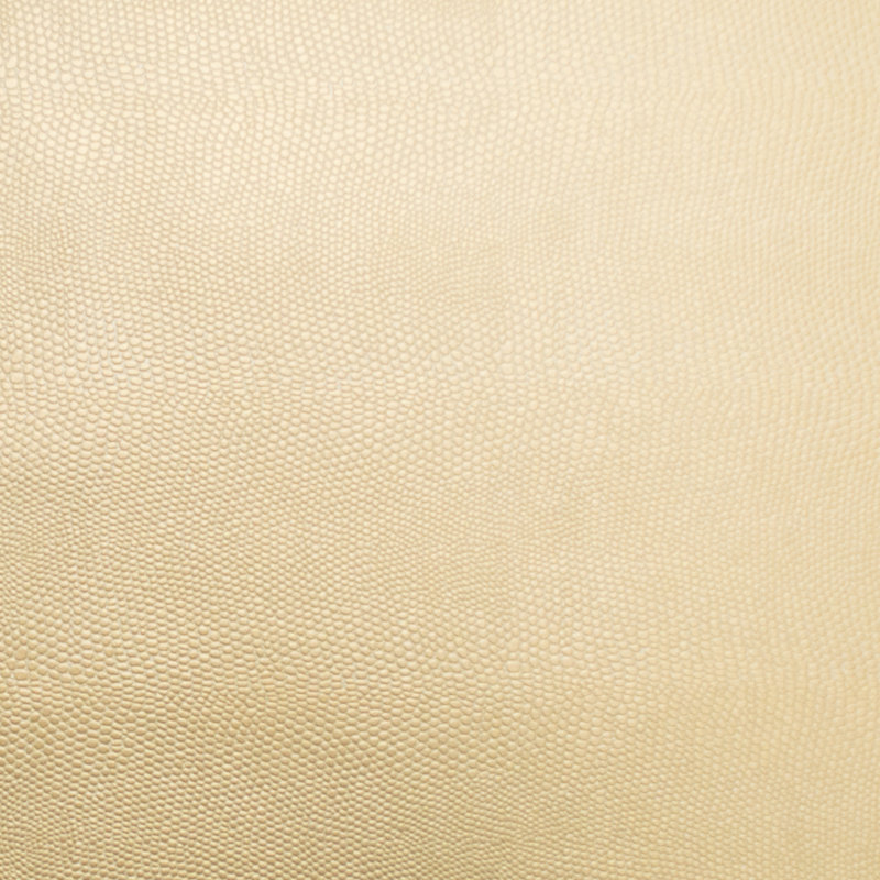 Pioneer Fabric