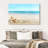 Aletra Beach Seashells-107676699