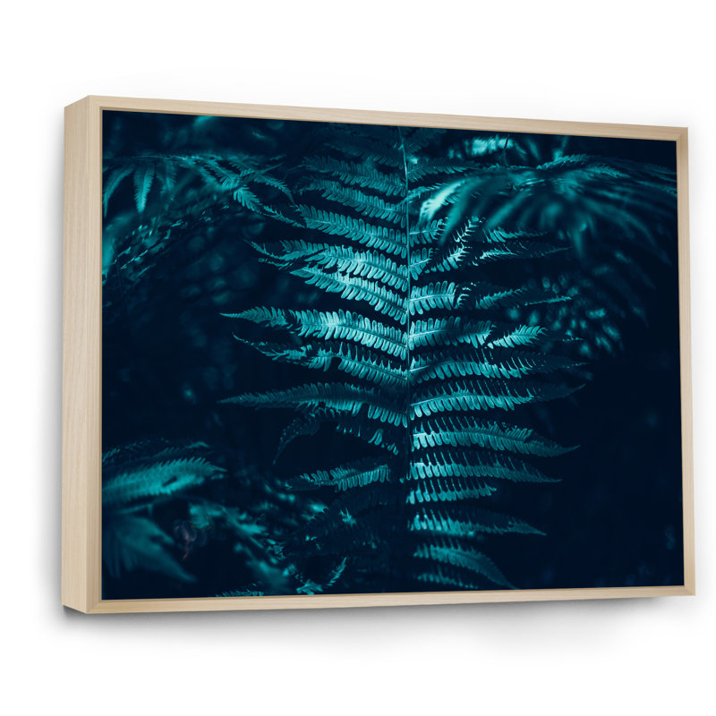 Beautiful Green Green Dark Leaves in Forest - Photographie sur toile, H 34 po x l 44 po x P 1,5 po, Cadre flottant érable