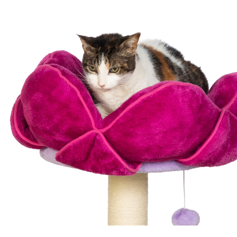 Bermudez 44.5'' H Cat Tree