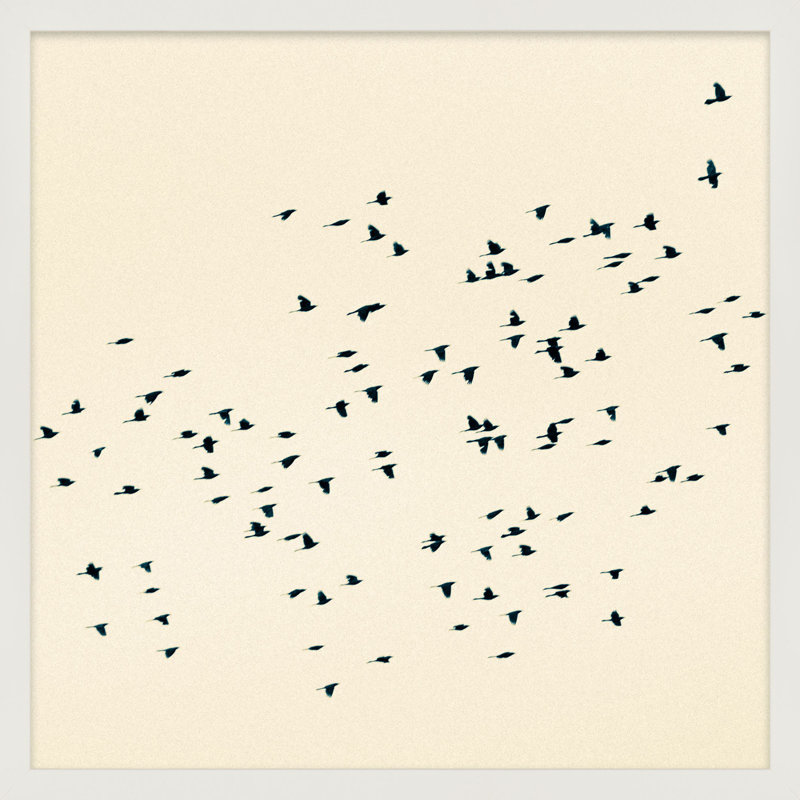 Soaring by Peter Dušek, 44" H x 44" W x 1.25" D, White