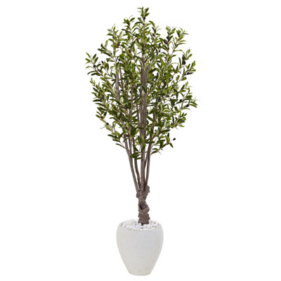 Artificial Olive Tree in White Oval Planter