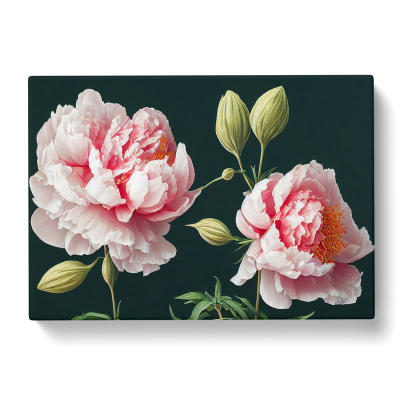 Fascinating Peony Flowers - Wrapped Canvas Print, 35cm H x 50cm W x 3cm D