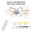 Chrisly Ceiling Fan with LED Lights