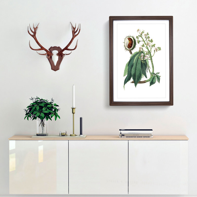 European Horse-chestnut Tree Illustration - Picture Frame Painting Print, 48cm H x 36cm W x 2cm D, Walnut Framed