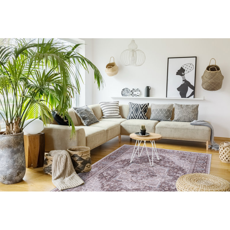 Vintage Look Cotton and Chenille Flatweave Area Rug, 200 cm round