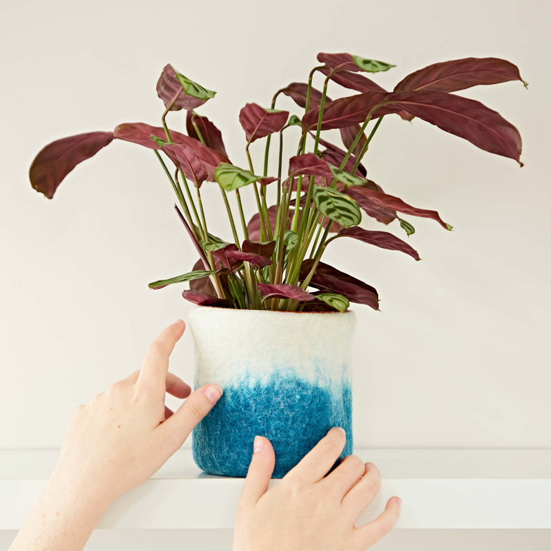 Plant Stand, Turquoise