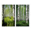 «White Green Birch Tree Whispers», 2 pièces sur toile-538528625-538528622