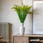 Arrangement-553539814