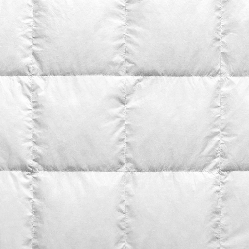 Artemis Goose All Season Down Comforter, King