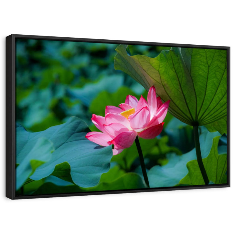 Floral et botanique «Fleur de lotus sauvage», H 21 po x l 31 po