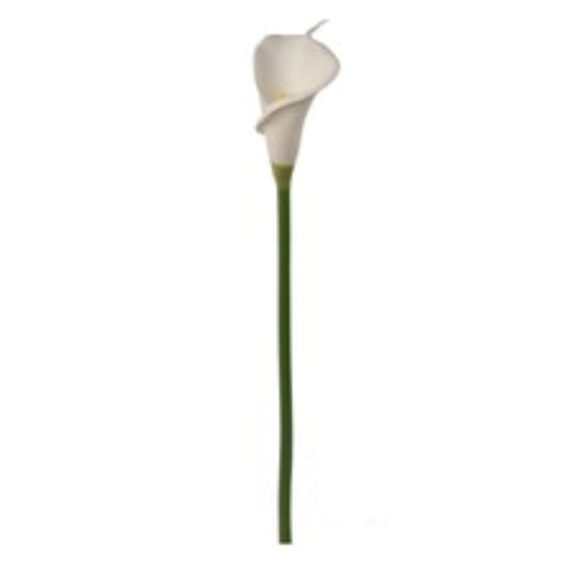 21" Millet Grass Bush- 3 Pack