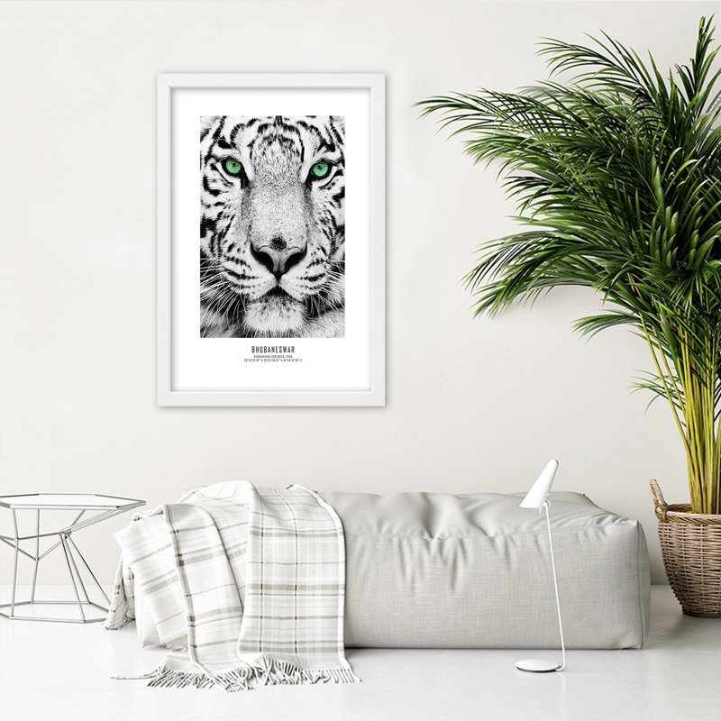 African Tigers - Single Picture Frame Print, 90cm H x 60cm W, White