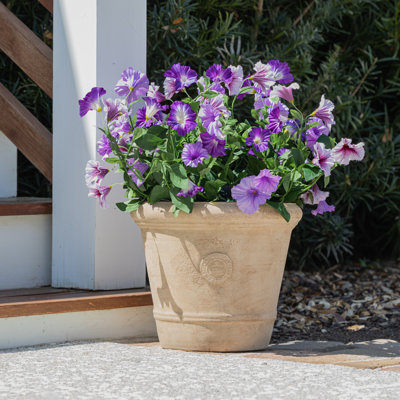 Lifelike Petunia Urn Filler - Light Purple and Dark Purple