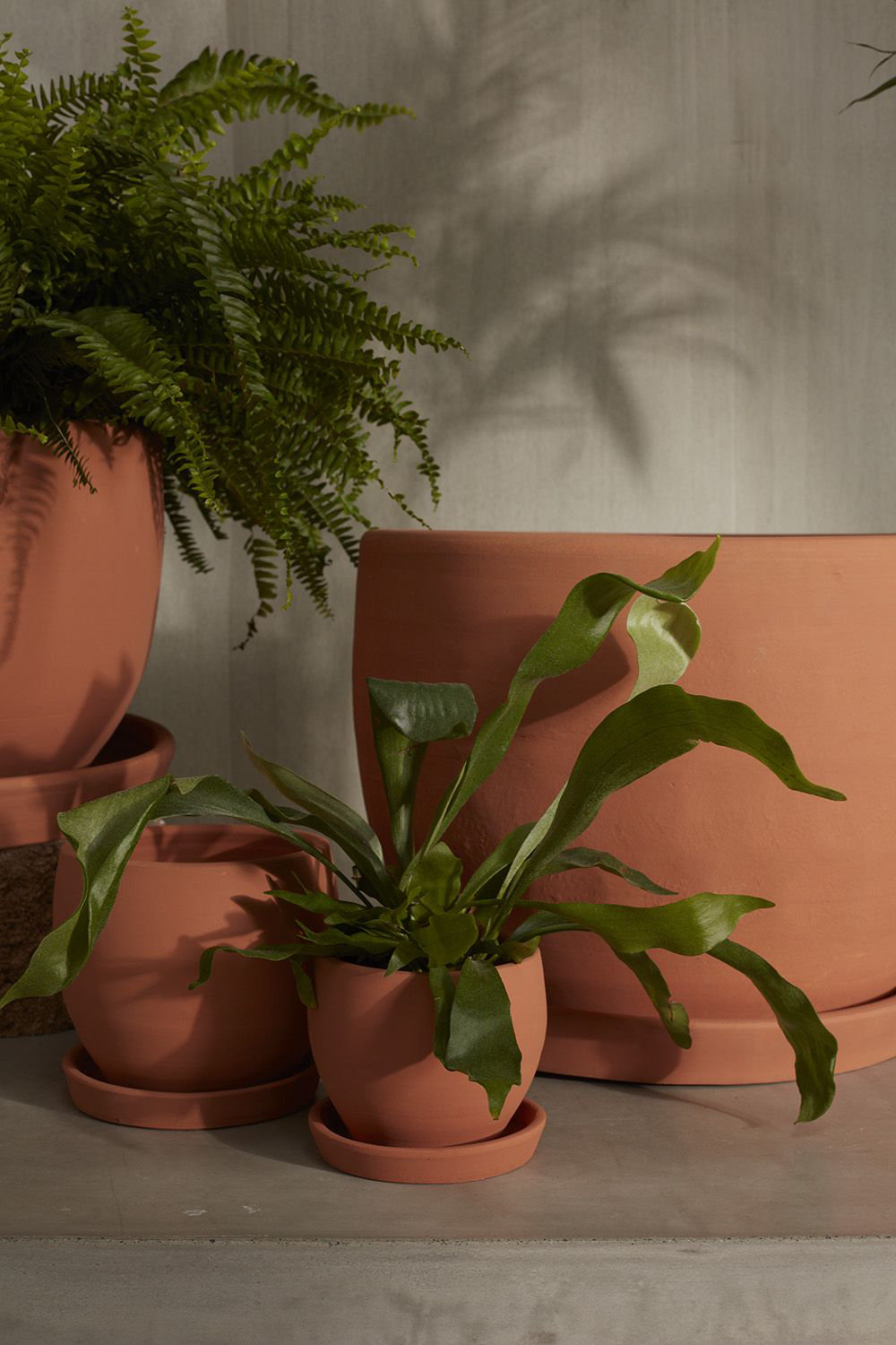Elisabeth 14" Ceramic Pot Planter, 5" H x 4.75" W x 4.75" D