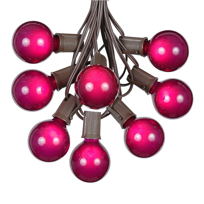 Outdoor 25 - Bulb 25'' Plug-in Globe String Light, Purple, Brown