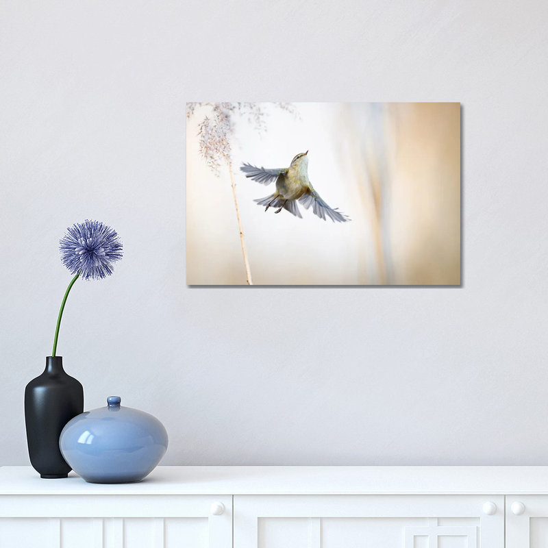 Ethereal 1 Piece Wrapped Canvas Wall Art, 30.48cm H x 45.72cm W x 1.905cm D