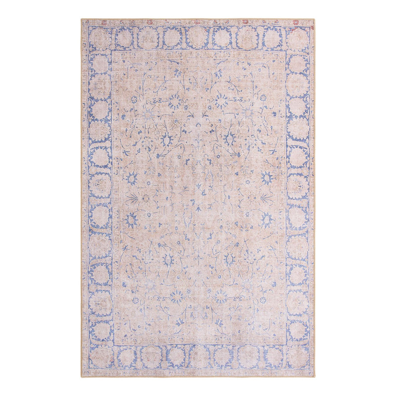 Sixtine Chenille Oriental Indoor Rug, Rectangle 5' x 8'