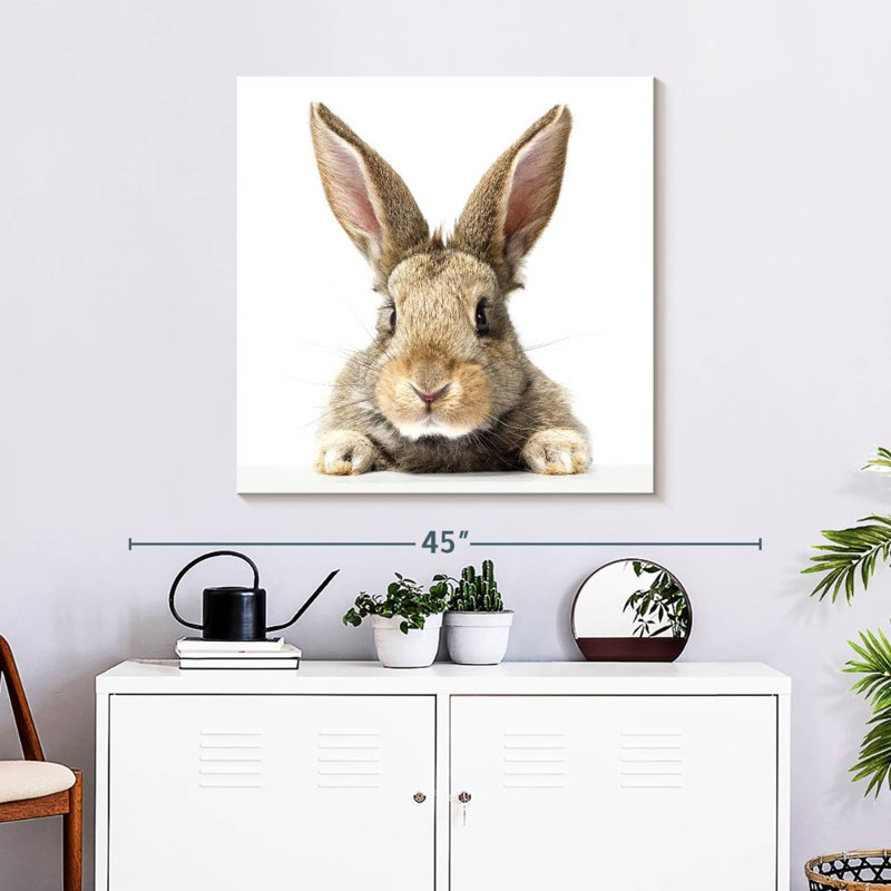 Crowle Fluffy Easter Rabbit, 30" H x 30" W