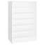 Shoe Cabinet Engineered Wood-307619030