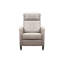 Haskell Recliner-1870401806
