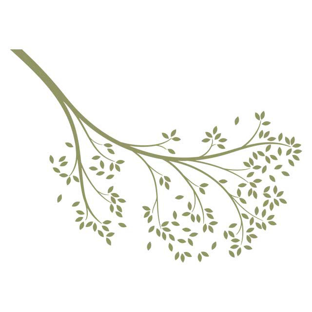 Décalcomanie murale branche atteindre, Vert olive