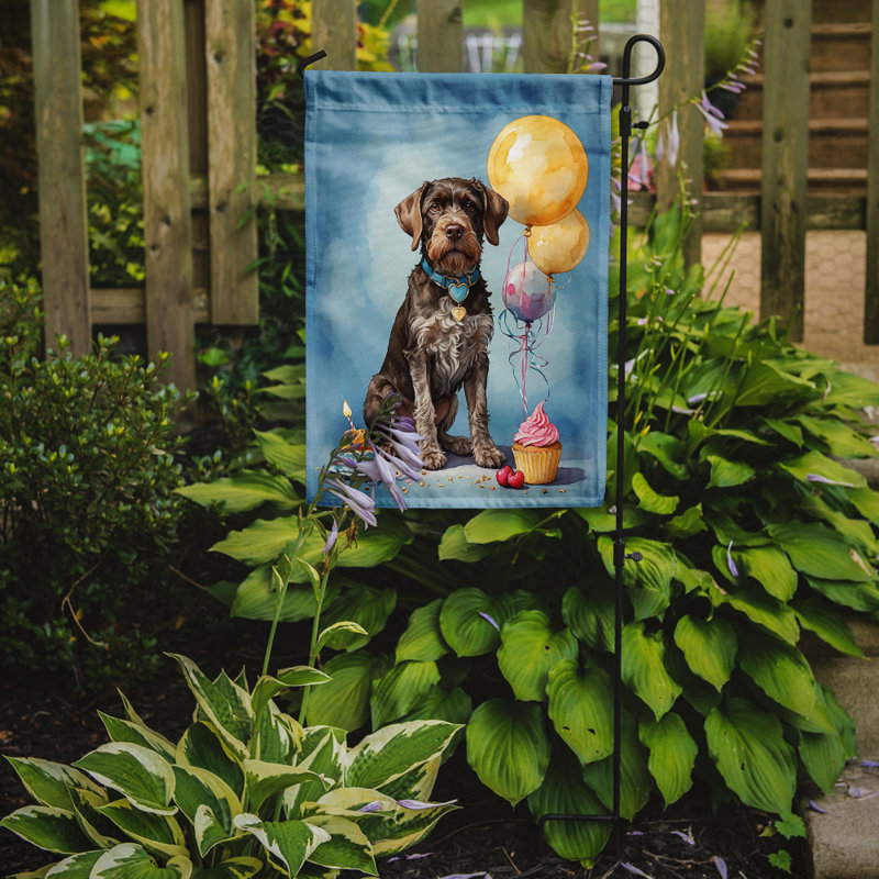 Drapeau de jardin «Happy Birthday», Braque allemand à poil dur