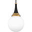 Luminaire suspendu noir mat 1 lumière Carlysle