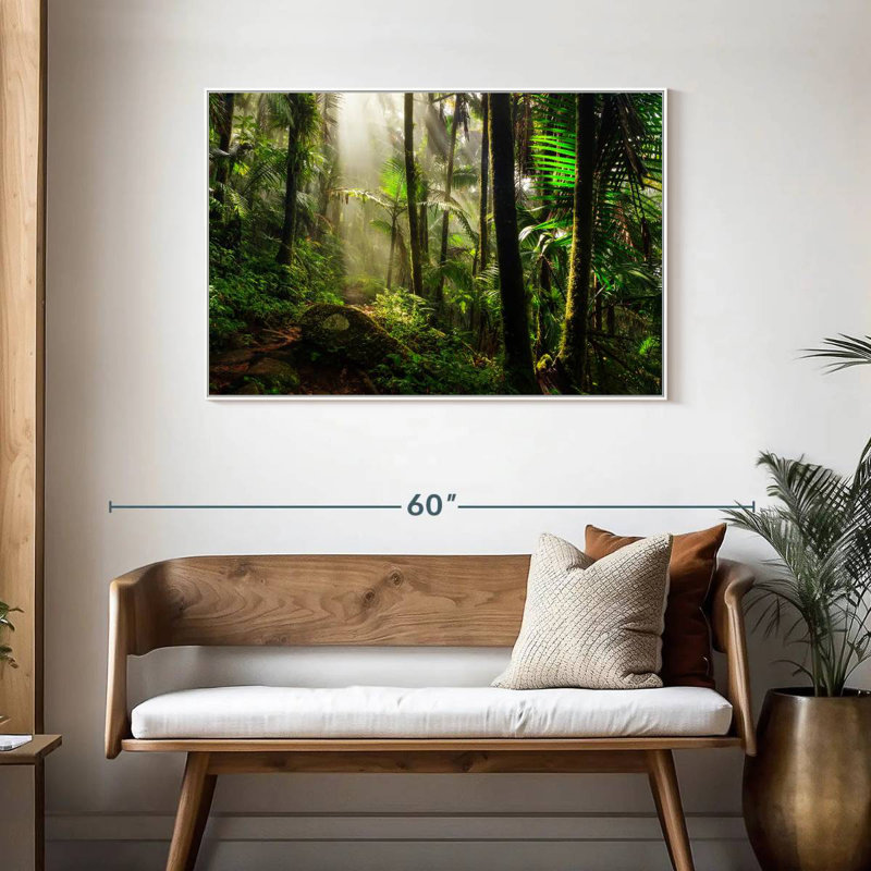 Forêt nationale d'El Yunque, Cadre flottant blanc, 43 po x 29 po