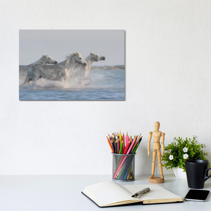 White Angels Of Camargue XXVII by Daniel Kordan - Wrapped Canvas Print, 20.32 cm H x 30.48 cm W