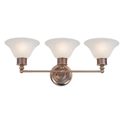Hard 3 - Light Dimmable Vanity Light