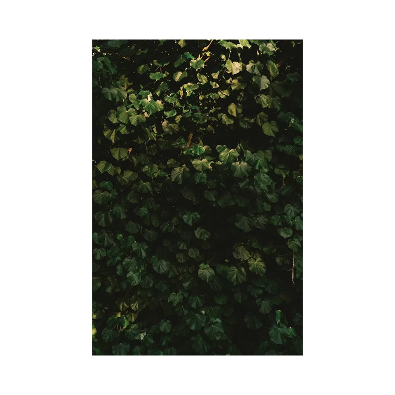 Hawaiian Hearts by Bethany Young - Print on Canvas, 30.48cm H x 20.32cm W x 1.91cm D, Wrapped Canvas