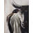 Bull Head Front View Print On Canvas