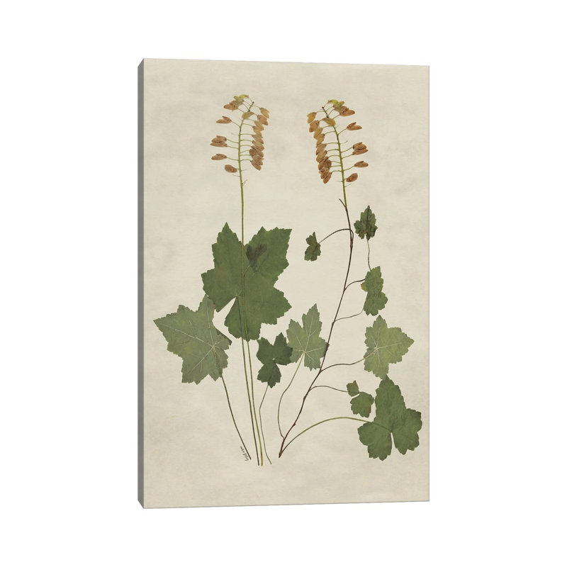 Botanical Leaves IV, 30.48 cm H x 20.32 cm W x 1.905 cm D, Does Not Apply