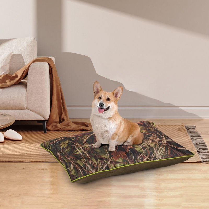 Coussin pour chien avec housse amovible, H 5,1 po x l 23,6 po x P 15,7 po