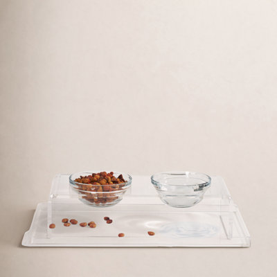 Clear Overflow Feeding Tray