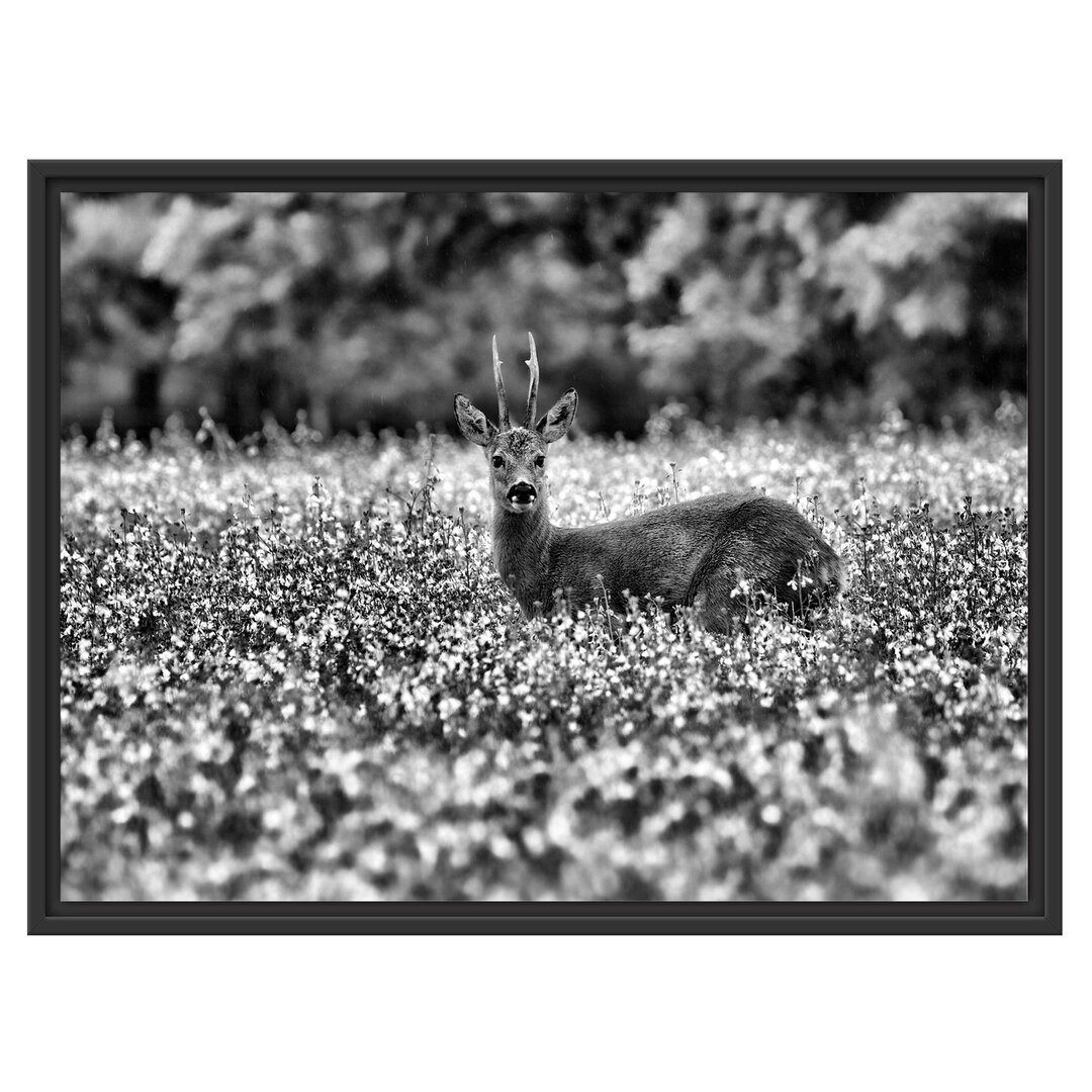 Junger Hirsch in einer Wiese Schweberahmen Fotodruck auf Papier