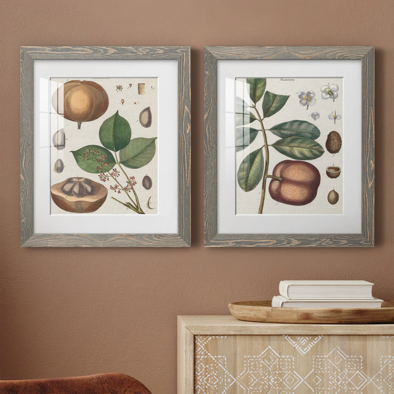 Exotic Botanique II, reproduction encadrée de qualité supérieure - prête à être accrochée, H 20 po x l 17 po x P 1 po, Blanc