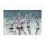 «Herons Stepping in Shore» par Christine Reichow-1647782059