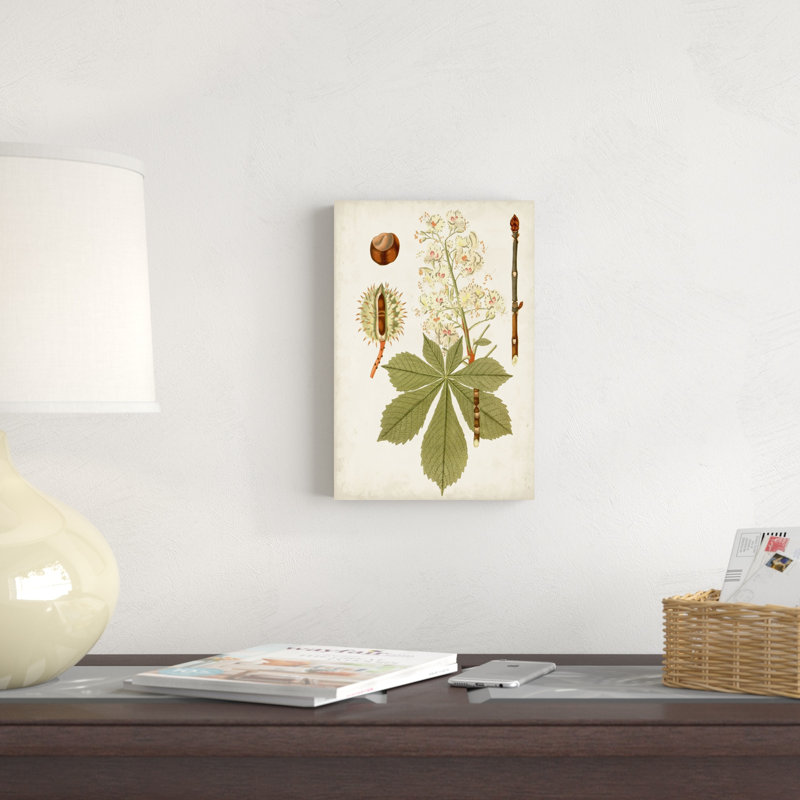 Feuilles antiques, H 12 po x l 8 po