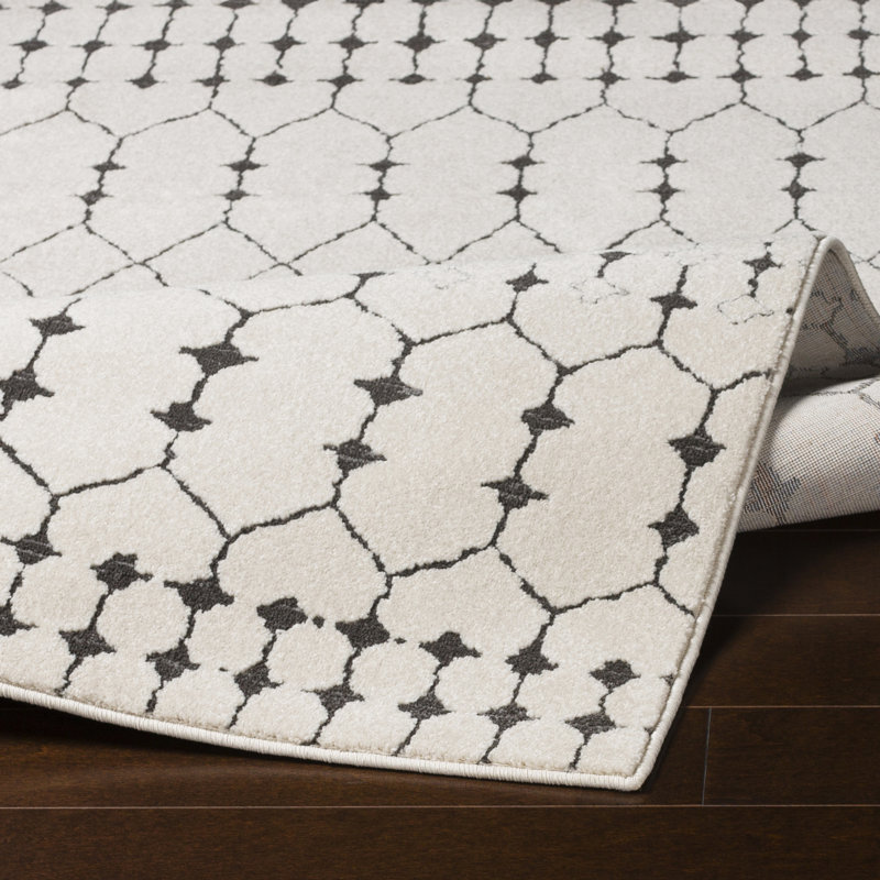 Tapis beige / gris anthracite Aguila, Rectangle 2 pi x 3 pi
