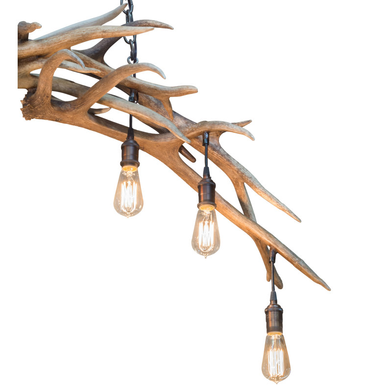 8 - Light Chandelier